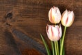 Macro White tulips on wood
