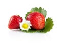 Macro whole strawberries with leaf and flower isolated on white Royalty Free Stock Photo