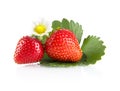 Macro whole strawberries with leaf and flower isolated on white Royalty Free Stock Photo