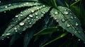 Macro dewdrops on a leaf. Close-up view of a rain-soaked leaf covered in droplets, texture, rainy day. AI generated.