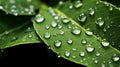 Extreme close-up dewdrops on leaves. Macro view of a rain-soaked leaf covered in droplets, texture, rainy day. AI generated.