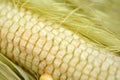 Macro of yellow corn background, healthy and tasty food Royalty Free Stock Photo
