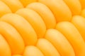 Macro of yellow corn cobs Royalty Free Stock Photo