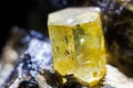 Macro of a yellow heliodor Royalty Free Stock Photo