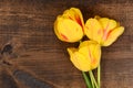 Macro Yellow tulips on wood