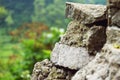 Macro zoom in - Texture rock climbing cliff on forest Royalty Free Stock Photo