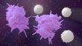 Macrofages with lymphocytes Royalty Free Stock Photo