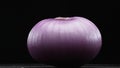 Macrography of peeled red onion against a sleek black background. Comestible. Royalty Free Stock Photo