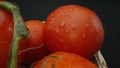 Macrography, tomatoes nestled within basket with black background. Comestible. Royalty Free Stock Photo