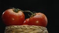 Macrography, tomatoes nestled within basket with black background. Comestible. Royalty Free Stock Photo