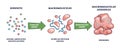 Macromolecules formation from subunits to ribosomes assembles outline diagram Royalty Free Stock Photo