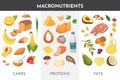 Macronutrients vector illustration. Main food groups : proteins, fats and carbohydrates. Dieting, healthy eating concept Royalty Free Stock Photo