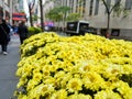 Flowers on an one of the Manhattan streets