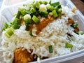 Rice with tofu, green onions and sauce