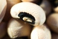 Macrophotography of beans. White eyed beans close