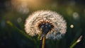 Macrophotography of a dandelion. AI Generated.