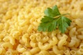 Macrophotography of raw small macaroni horns and fresh parsley leaf. Durum wheat pasta. Ingredient for healhy eating and