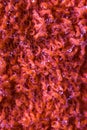 Macrophotography of a red towel with water droplets Royalty Free Stock Photo