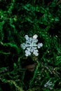 Macrophotography of snowflakes on green moss