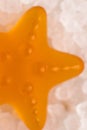 Macrophotography of starfish from marmalade on the background of white salt crystals Royalty Free Stock Photo