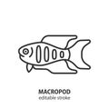 Macropod line icon. Labyrinth fish vector sign. Editable stroke Royalty Free Stock Photo