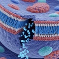 Molecular Level: Cell Membrane Repair Royalty Free Stock Photo