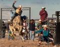 Mad Bull Professional Rodeo Bull Riding