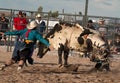 Mad Bull Professional Rodeo Bull Riding