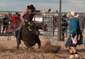 Mad Bull Professional Rodeo Bull Riding