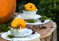 Mad Hatter and Alice Thanksgiving or Halloween Pumpkins Tea Party in the Forest Royalty Free Stock Photo