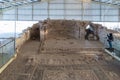 The ruins of houses and mosaic in the covered pavilion on the historical archaeological site Umm ar-Rasas near Madaba city in Jord