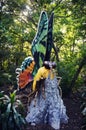 Madagascan Sunset Moth Royalty Free Stock Photo