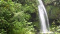 Madagascar, Amber Mountains park, falls