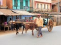 Madagascar, cart drawn by zebu cattle, Antsirabe