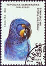 MADAGASCAR - CIRCA 1992: A stamp printed in Madagascar shows a Hyacinth Macaw Anodorhynchus hyacinthinus, circa 1992.