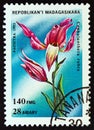 MADAGASCAR - CIRCA 1993: A stamp printed in Madagascar shows Red Helleborine Cephalanthera rubra, circa 1993.