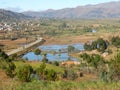 Madagascar, Landscape with rice fields, trees and village Royalty Free Stock Photo