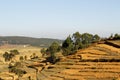 Madagascar landscape - panoramic view Royalty Free Stock Photo