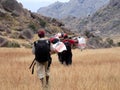 : Porters on a mountain tre. November 65, 2022 Madagascar Royalty Free Stock Photo