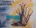 Madagascar palm or bontaka on Malagasy ariary banknote, national currency of Madagascar,
