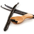 Madagascar vanilla beans Royalty Free Stock Photo