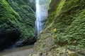 Madakaripura Waterfall-Deep Forest Waterfall in East Java, Indonesia Royalty Free Stock Photo