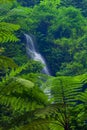 Madakaripura Waterfall, East Java, Indonesia Royalty Free Stock Photo