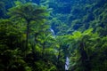 Madakaripura Waterfall, East Java, Indonesia Royalty Free Stock Photo