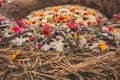 Madala with flowers and fruits, ceremony of earth.