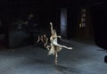 Madam Bovary ballet perfomance