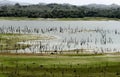 Madden lake, Panama Royalty Free Stock Photo