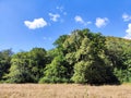 Maddow with burnt out grass and green vegetation around Royalty Free Stock Photo