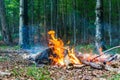 A made fire in the forest. Fire flames and sparks in nature. Leisure and camping. Summer, Autumn, Spring. Burning firewood and Royalty Free Stock Photo