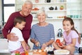 Made with a grandmas love. Portrait of grandparents preparing dinner with their grandchildren in a kitchen. Royalty Free Stock Photo